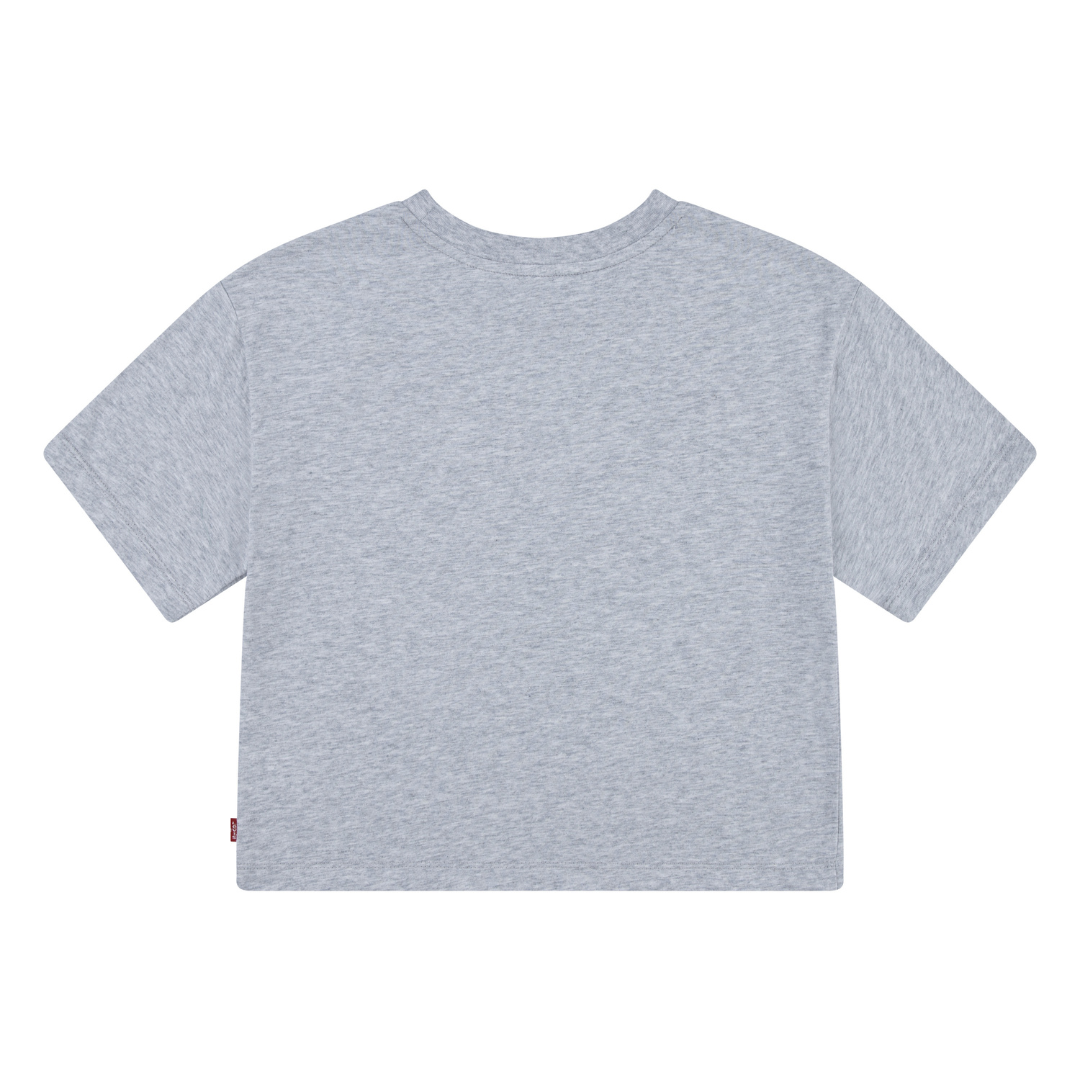 Levi's Meet and Greet Butterfly Light Gray Short Sleeve Tee (Big Kids)