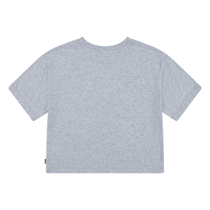 Levi's Meet and Greet Butterfly Light Gray Short Sleeve Tee (Big Kids)