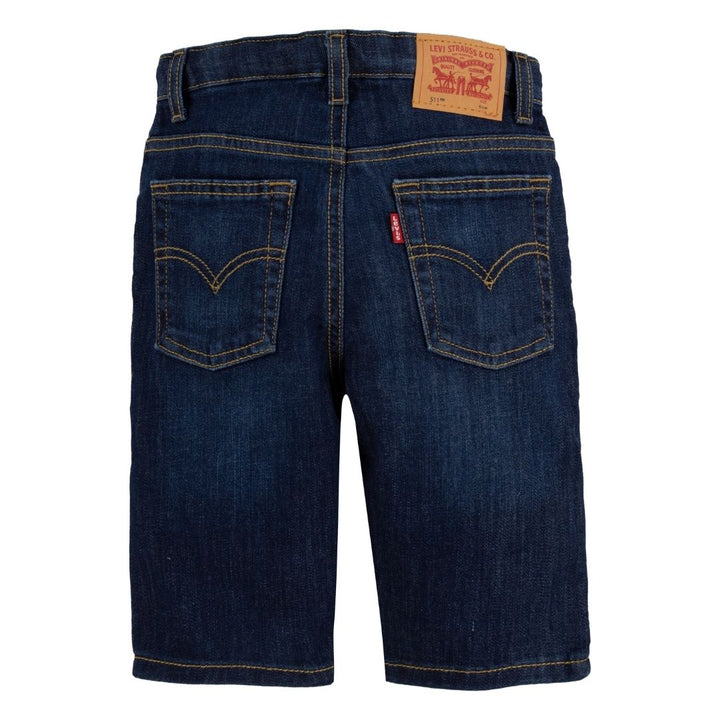 Levi's Boys Performance Shorts Highlands (Little Kids)