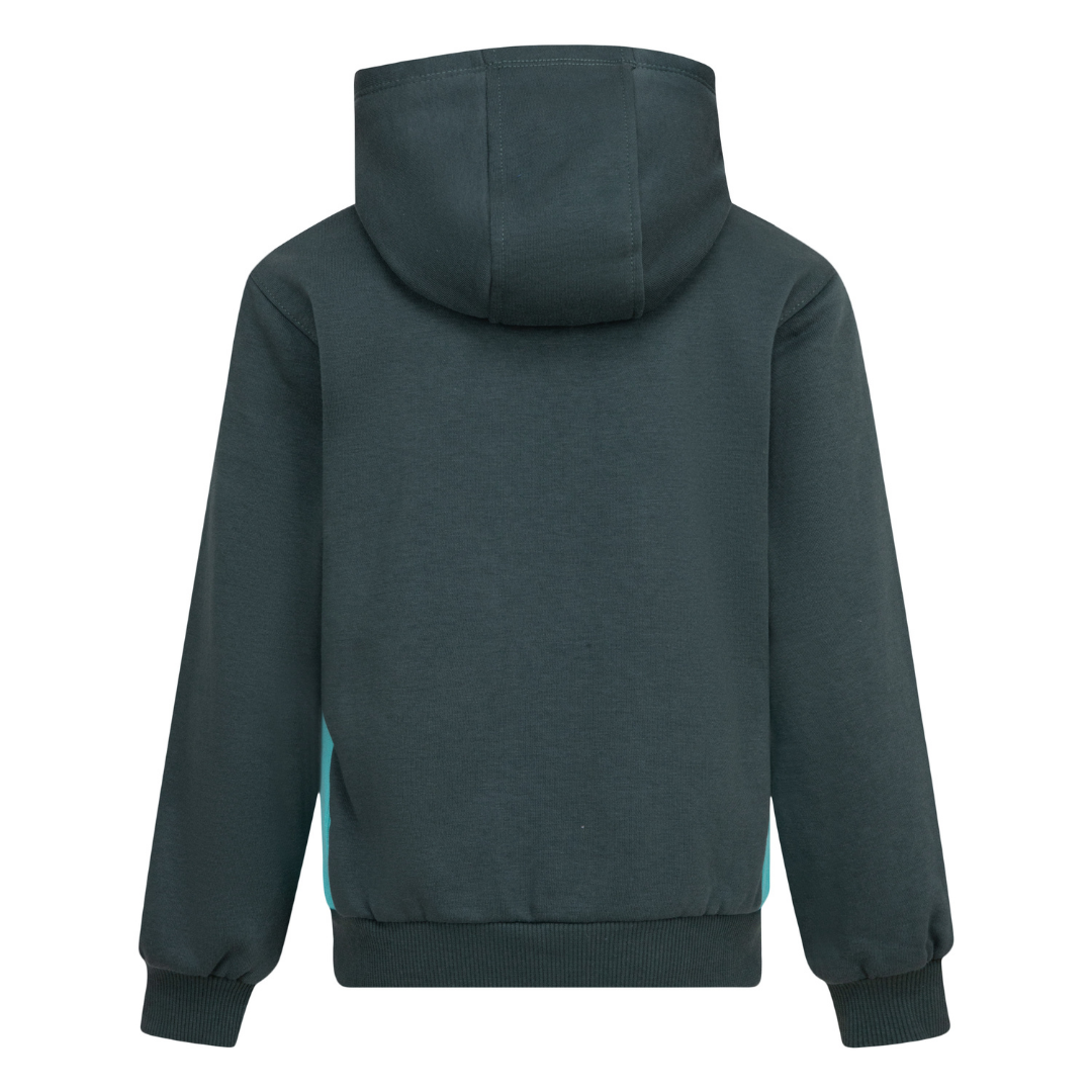Nike Sportswear Express Yourself Pullover Hoodie Vintage Green (Little Kids)