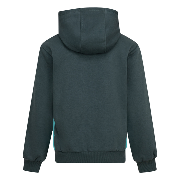 Nike Sportswear Express Yourself Pullover Hoodie Vintage Green (Little Kids)