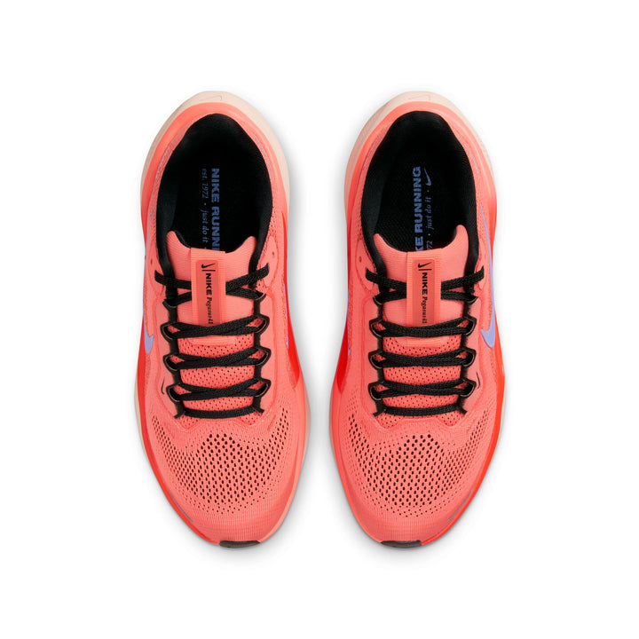 Nike Pegasus 41 Shoes (Big Kids)