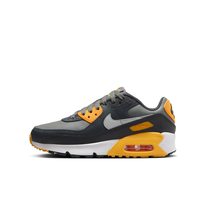 Nike Air Max 90 Shoes (Big Kids)