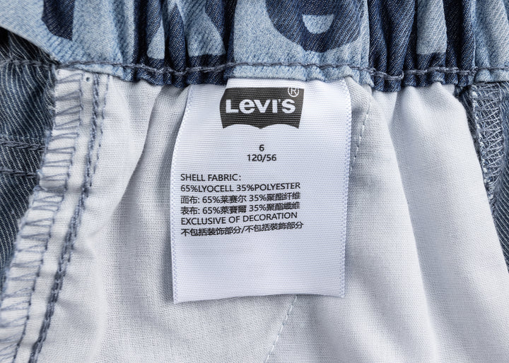 Levi's Boys Woven Denim Shorts(Little Kids)