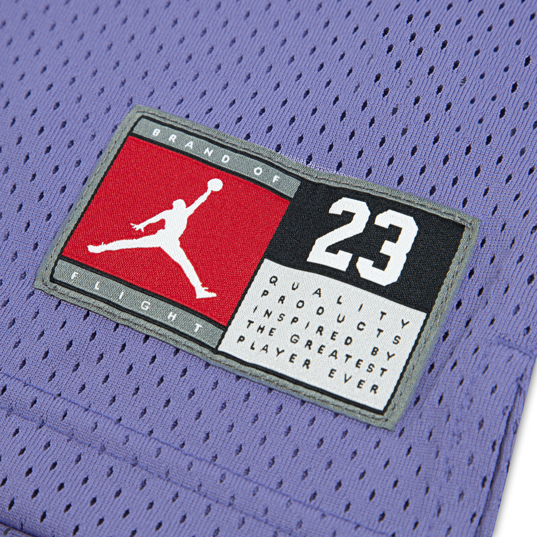 Jordan Girls 23 Jersey Dust Amethyst (Big Kids)