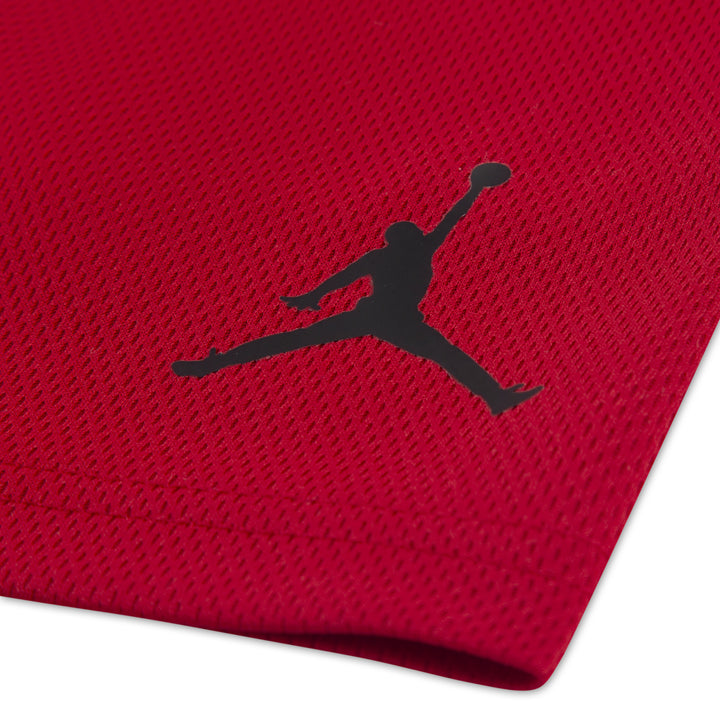 Jordan Boys Jordan 23 Jersey Set Black/Gym Red (Toddlers)