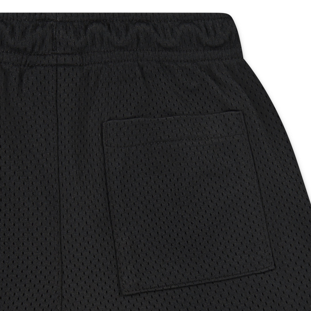 Jordan Boys Dri-FIT Baseline Mesh Shorts (Little Kids)