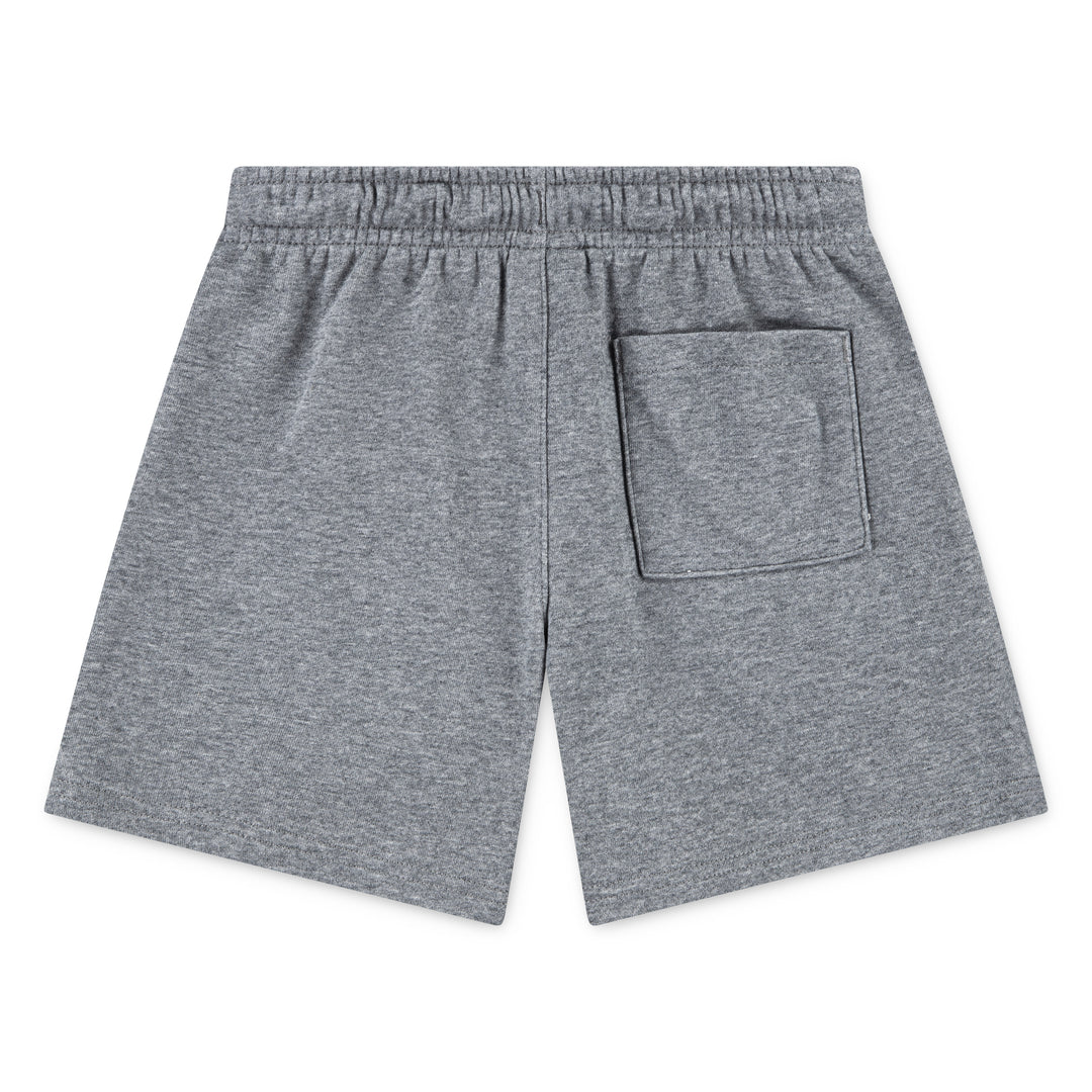 Jordan Boys Brooklyn FT Shorts Carbon Heather (Little Kids)