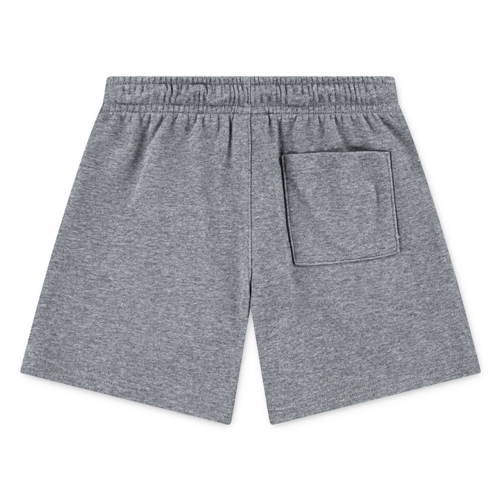 Jordan Boys Brooklyn FT Shorts Carbon Heather (Little Kids)