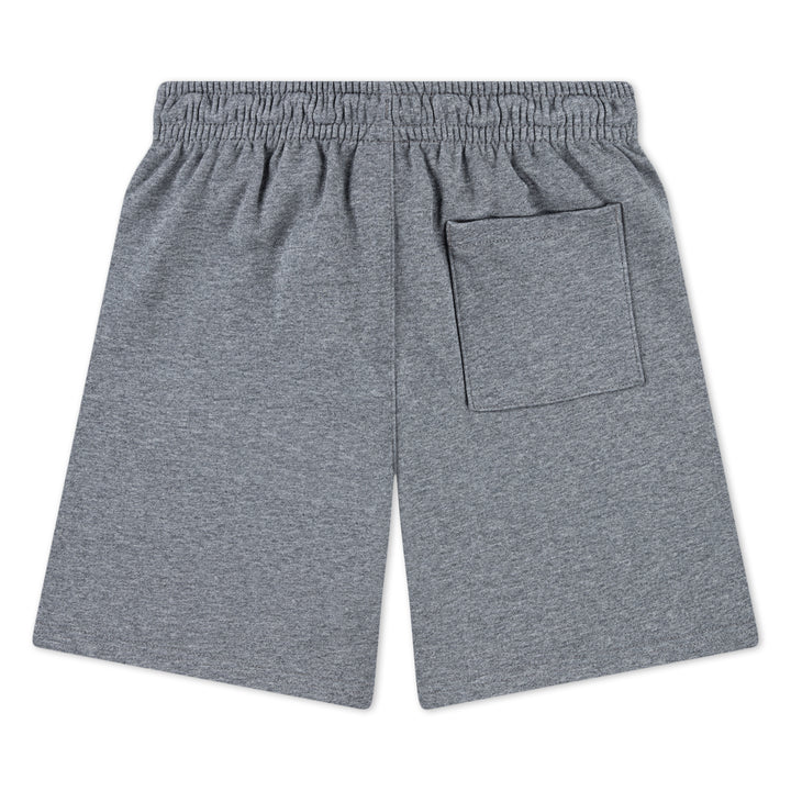 Jordan Boys Brooklyn FT Shorts Carbon Heather (Big Kids)