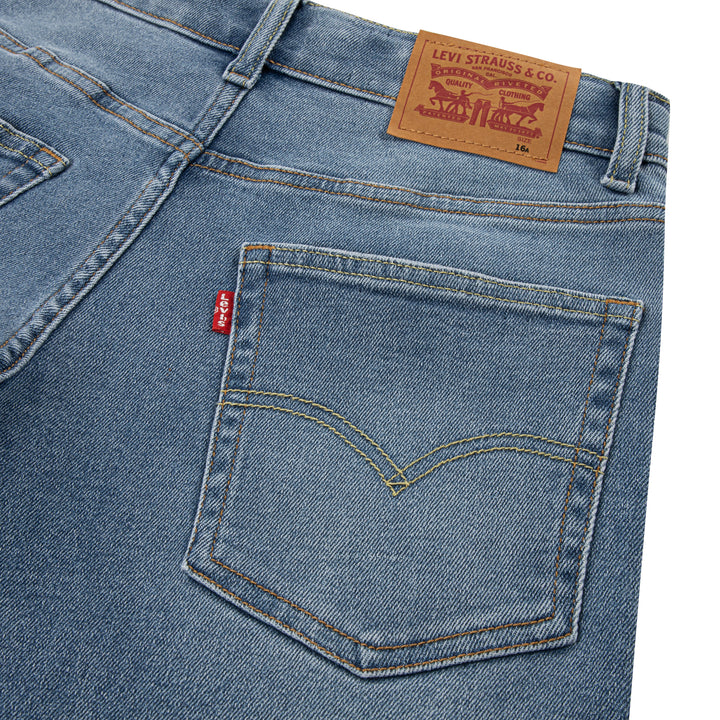 Levi's Stay Loose Taper Jeans Gravy Train No Destruction (Little Kids)